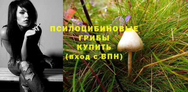 индика Заводоуковск