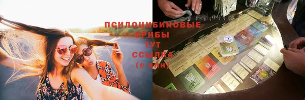 индика Заводоуковск