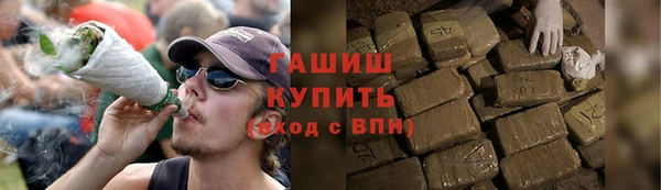 индика Заводоуковск