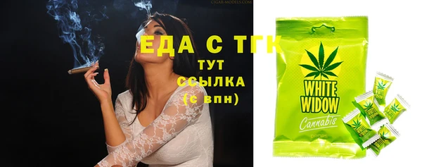 индика Заводоуковск