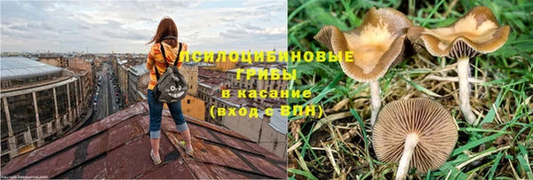 мяу мяу мука Заволжье