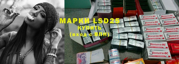 индика Заводоуковск