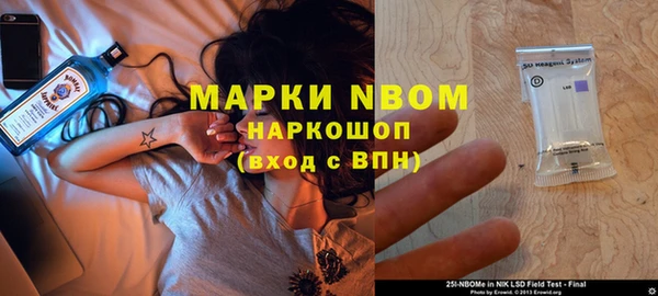 индика Заводоуковск