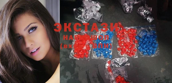 индика Заводоуковск