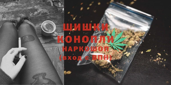 гашик Калининец