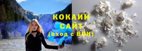 индика Заводоуковск