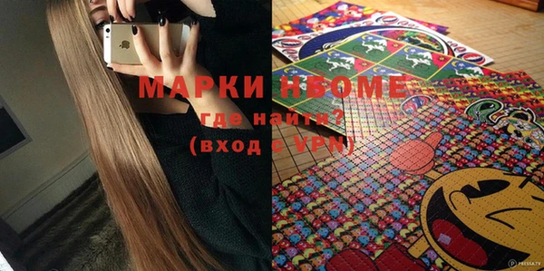 индика Заводоуковск