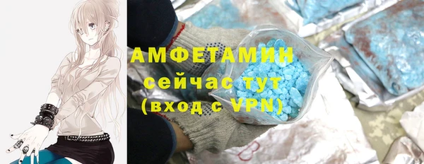 индика Заводоуковск