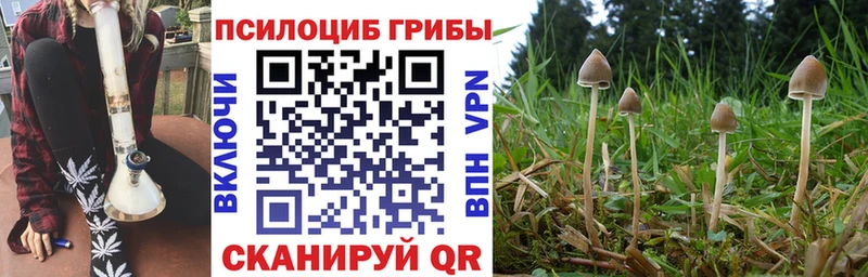 Псилоцибиновые грибы ЛСД Сибай