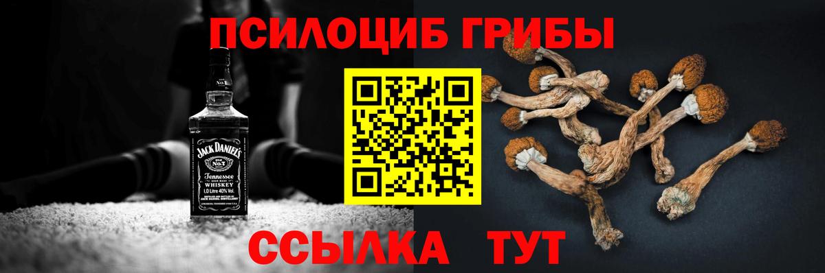 Галлюциногенные грибы Psilocybine cubensis  Псилоцибиновые грибы мухоморы  закладки  Сибай  Вход с VPN 